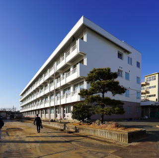 tsuchiurayontyu001